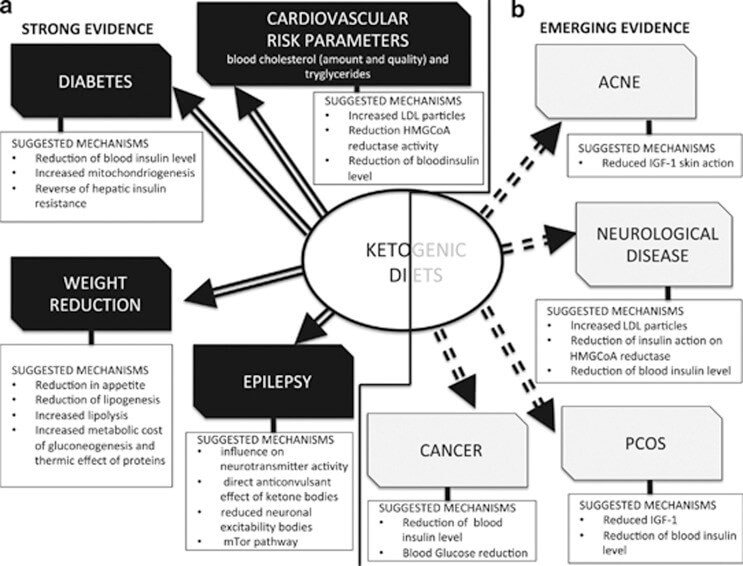 ketosis (weight loss)